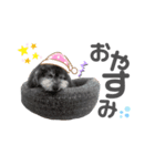 おとぼけといぷー2（個別スタンプ：3）