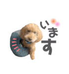おとぼけといぷー2（個別スタンプ：4）