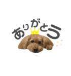 おとぼけといぷー2（個別スタンプ：9）