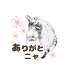 猫のスズのスタンプ（個別スタンプ：3）