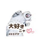 猫のスズのスタンプ（個別スタンプ：6）
