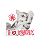 猫のスズのスタンプ（個別スタンプ：10）