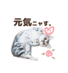 猫のスズのスタンプ（個別スタンプ：13）