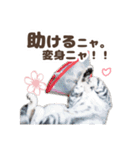 猫のスズのスタンプ（個別スタンプ：20）