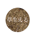 スパイススタンプ(煽り)（個別スタンプ：2）