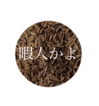 スパイススタンプ(煽り)（個別スタンプ：6）