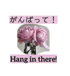 英語と薔薇と日本語と（個別スタンプ：1）