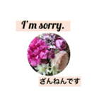 英語と薔薇と日本語と（個別スタンプ：2）
