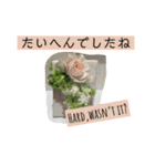 英語と薔薇と日本語と（個別スタンプ：3）