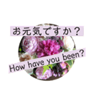 英語と薔薇と日本語と（個別スタンプ：12）