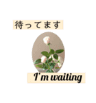 英語と薔薇と日本語と（個別スタンプ：13）