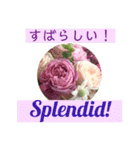 英語と薔薇と日本語と（個別スタンプ：14）