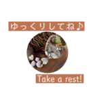 英語と薔薇と日本語と（個別スタンプ：15）