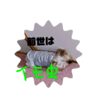 メテオとヂナ（個別スタンプ：5）