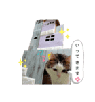 ちょろ◎（個別スタンプ：6）