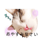 ちょろ◎（個別スタンプ：8）