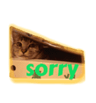 cat and dog stamp《ねこいぬスタンプ》（個別スタンプ：5）