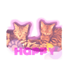 cat and dog stamp《ねこいぬスタンプ》（個別スタンプ：8）