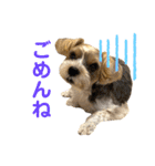 敬語とカジュアル【挨拶編】（個別スタンプ：10）