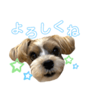 敬語とカジュアル【挨拶編】（個別スタンプ：14）