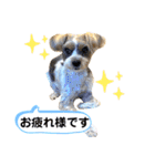 敬語とカジュアル【挨拶編】（個別スタンプ：15）