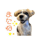 敬語とカジュアル【挨拶編】（個別スタンプ：24）