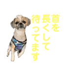 モヒカン蓮くん7（個別スタンプ：7）
