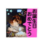 貫禄けいくん（個別スタンプ：1）