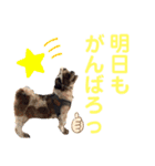 貫禄けいくん（個別スタンプ：2）