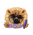 貫禄けいくん（個別スタンプ：3）