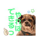 貫禄けいくん（個別スタンプ：6）