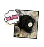 frambare（個別スタンプ：3）
