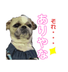 モヒカン蓮くん6（個別スタンプ：1）