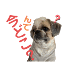 モヒカン蓮くん6（個別スタンプ：4）