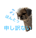 モヒカン蓮くん6（個別スタンプ：7）