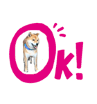 けんケンKEN坊（個別スタンプ：4）