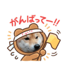けんケンKEN坊（個別スタンプ：5）