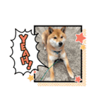 けんケンKEN坊（個別スタンプ：6）