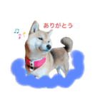 けんケンKEN坊（個別スタンプ：8）