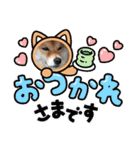 けんケンKEN坊（個別スタンプ：12）