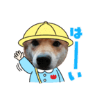 けんケンKEN坊（個別スタンプ：14）