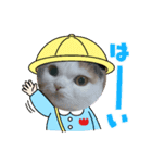 スコタンとマフィン（個別スタンプ：1）
