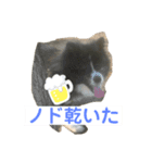 しろところん（個別スタンプ：3）