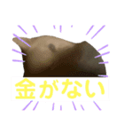 しろところん（個別スタンプ：6）