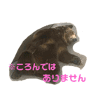 しろところん（個別スタンプ：15）