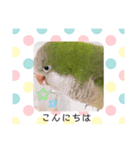 癒しの鳥（個別スタンプ：1）