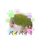 癒しの鳥（個別スタンプ：8）