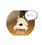 フレブルパラダイス（個別スタンプ：1）