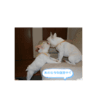フレブルパラダイス（個別スタンプ：8）