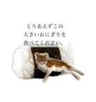 ももじろう選手2021 茶白猫の敬語で夏休み（個別スタンプ：30）